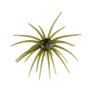 Hag's Baits Prickly Pear 19mm Urchin Guadalupe Haze