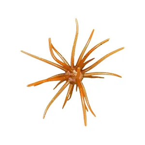 Hag's Baits Prickly Pear 19mm Urchin Mesquite Magic