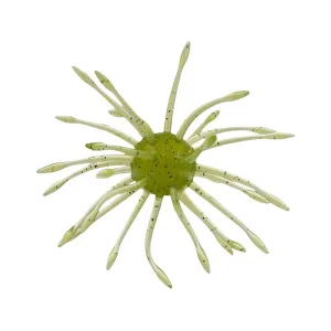 Yamamoto Uni HD 16mm Urchin Baby Bass
