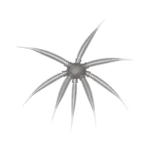 BassMooch Gumball 17mm Urchin Smokey Shad