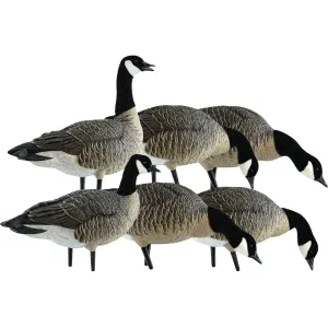Avian X AXP Fusion Lesser Goose Decoy 6 PK