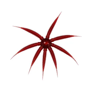 BassMooch Gumball 17mm Urchin Scuppernong