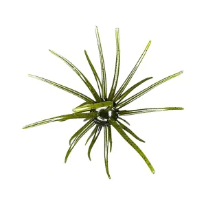 Hag's Baits Prickly Pear Big Tex 25mm Urchin Hag's Pumpkin