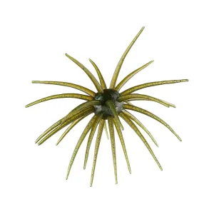 Hag's Baits Prickly Pear Big Tex 25mm Urchin Guadalupe Haze