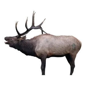 Deadnuts Outdoors Broadside Bull Elk 2D Archery Target