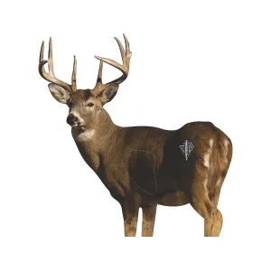 Deadnuts Outdoors Quartering Away Whitetail Willy QuivAR 2D Archery Target