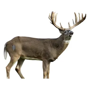 Deadnuts Outdoors Broadside Whitetail 2D Archery Target