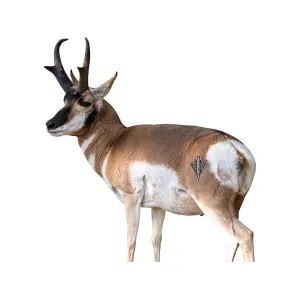 Deadnuts Outdoors Quartering Away Pronghorn 2D Archery Target