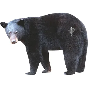 Deadnuts Outdoors Broadside Black Bear 2D Archery Target