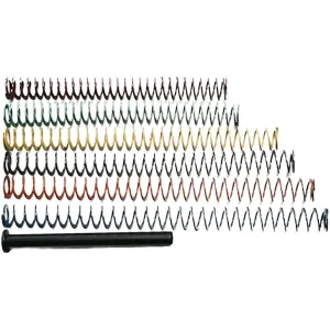 True Precision Recoil Spring Tuning Kit for Ruger RXM