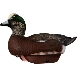 HEYDAY HydroFoam Wigeon Duck Decoy 6PK