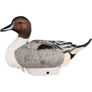 HEYDAY HydroFoam Pintail Duck Decoy 6PK