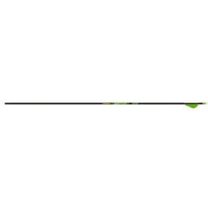 Gold Tip Hunter XT 250 Carbon Arrow 2" Vanes 12PK