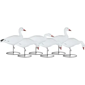 Dakota Decoy X-Treme Full Body Snow Goose Decoy 6PK