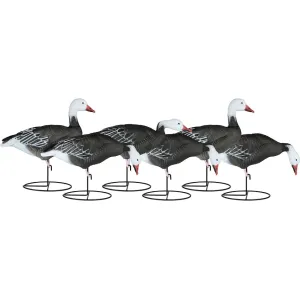 Dakota Decoy X-Treme Full Body Blue Goose Decoy 6PK