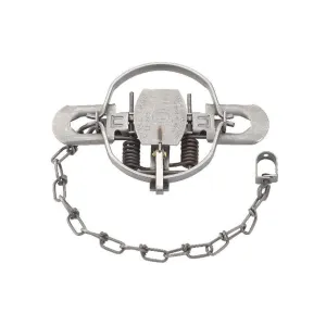 Duke #2 Coil Spring Trap Steel 12PK