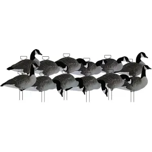 Dakota Decoys X-treme Silhouette Canada Goose Decoys 12PK