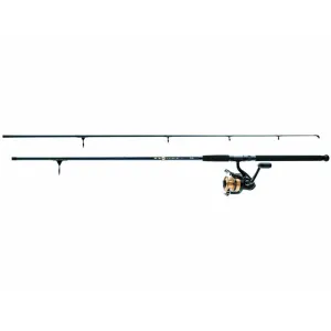Daiwa D-Wave Saltwater 11' Medium Spinning Combo