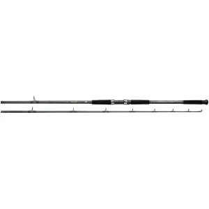 Daiwa Sealine Surf 11' Spinning Rod Hvy