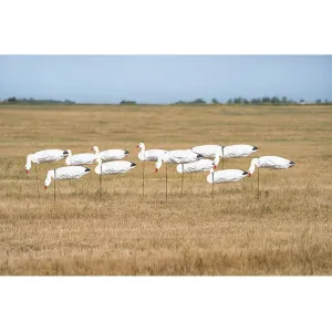 GHG Pro Grade Snow Goose Sock Decoys