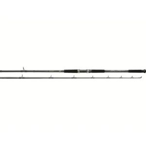 Daiwa Sealine Surf 9' Casting Rod Hvy