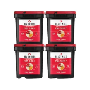 ReadyWise 480 Serving Fruit and Gourmet Snack Freeze Dried Food Kit