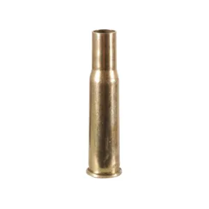 PPU 303 Savage Brass Bag of 50