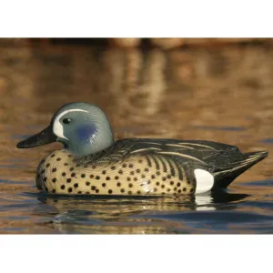 GHG Life-Size Blue Wing Teal Duck Decoy 6PK