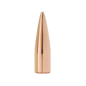 Factory Second Match 300 AAC Blackout (308 Diameter) Bullets 125 Grain Jacketed Hollow Point Box of 100 (Bulk Packaged)