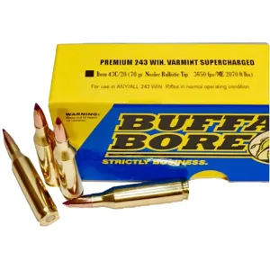 Buffalo Bore Supercharged Varmint 243 Winchester Ammo 70 Grain Nosler Ballistic Tip Polymer Tip Box of 20