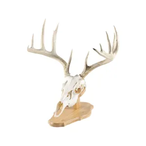 Walnut Hollow Country Oak European Mount Display