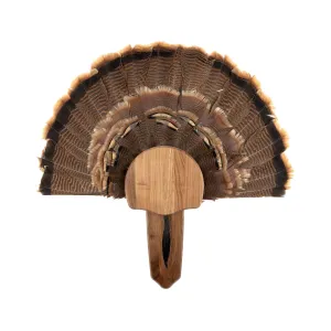 Walnut Hollow Country Walnut Turkey Mounting Kit