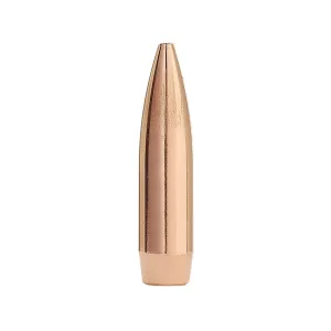 Factory Second Match 22 Caliber (224 Diameter) Bullets 77 Grain Jacketed Hollow Point Box of 100 (Bulk Packaged)