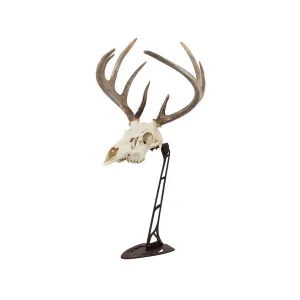 Allen EZ Mount Centerpiece European Mount Display