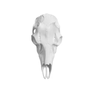 Mountain Mike's Skull Master Antler Mounting Kit Deer