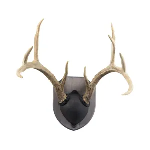 Walnut Hollow Country Rustic Pine Antler Mounting Kit