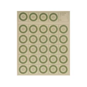 National Target International Bench Rest Shooters Target IBS 50 YD Rimfire Paper 100PK