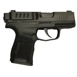 Techna Clip Gun Belt Clip IWB Holster Ambidextrous Sig Sauer P365 Steel Black