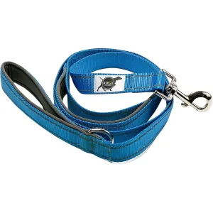 ROCT Outdoor Trailhead Dog Leash Blue