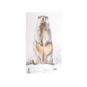 NRA Official Lifesize Game Target Groundhog Paper 50PK