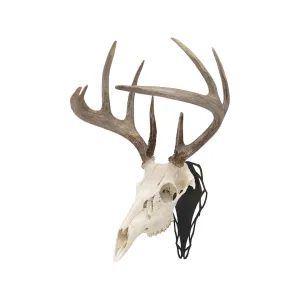 Allen EZ Mount Silhouette Skull Peg European Mount Display