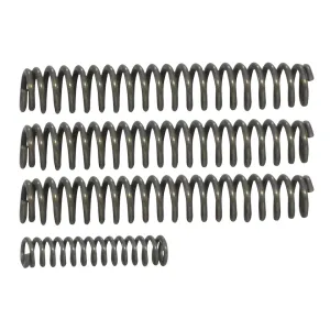 Wolff Shooter's Spring Pack for Ruger SP-101