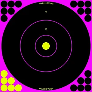 BIRCHWOOD CASEY Shoot-N-C 12in Pink Bull's-Eye 5 Targets, 120 Pasters (34027)