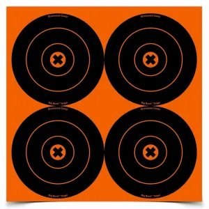 BIRCHWOOD CASEY Big Burst 6in Bull's-Eye Target, 4 per Page/3 Pages (36612)