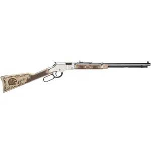 HENRY American Eagle 22 S/L/LR 20in 16rd/21rd Nickel Lever Action Rifle (H004AE)