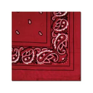 WYOMING TRADERS Bandana Red Regular Silk Scarf (BR)
