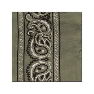 WYOMING TRADERS Bandana Sage Regular Silk Scarf (BS)