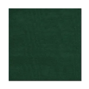 WYOMING TRADERS Solid Forest Extra Large Silk Scarf (SXF)
