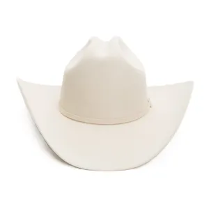STETSON Unisex Adults Skyline Silverbelly Hat (SFSKYL-754061)