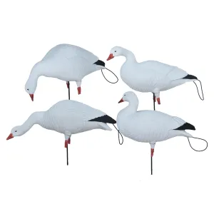 AVERY Pro-Flex Full Body Snow Harvester Pack, Dozen (72502)